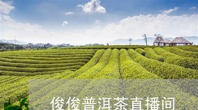 俊俊普洱茶直播间/2023120474817