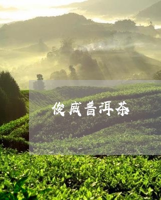 俊威普洱茶/2023081779583