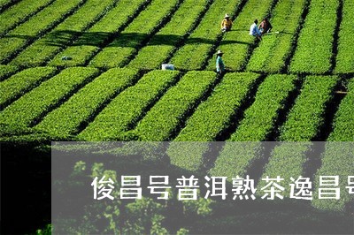 俊昌号普洱熟茶逸昌号普洱茶/2023052759492