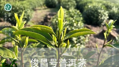 俊昌号普洱茶/2023042815524