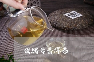 俊骋号普洱茶/2023042542193