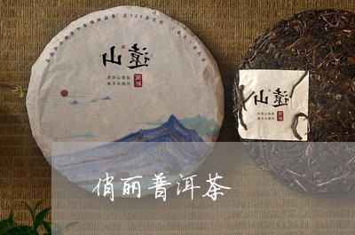 俏丽普洱茶/2023090585959