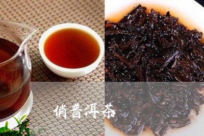 俏普洱茶/2023083183938