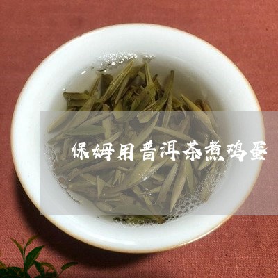 保姆用普洱茶煮鸡蛋/2023042890583