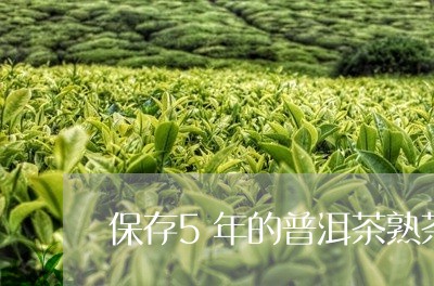 保存5年的普洱茶熟茶/2023062379582