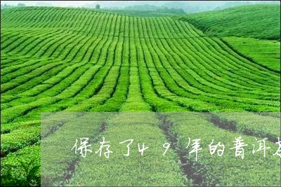 保存了49年的普洱茶/2023061806501