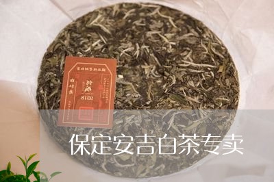 保定安吉白茶专卖/2023061690583