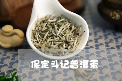 保定斗记普洱茶/2023110517260