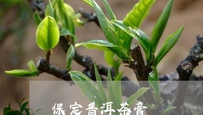 保定普洱茶膏/2023042623696