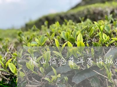 保山临沧普洱茶饼批发/2023062827050