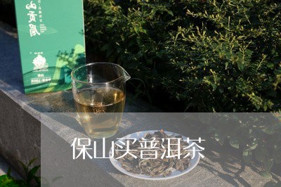 保山买普洱茶/2023042641084