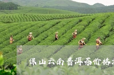 保山云南普洱茶价格表/2023062369724