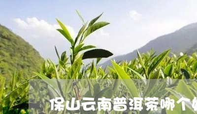 保山云南普洱茶哪个好/2023100562637