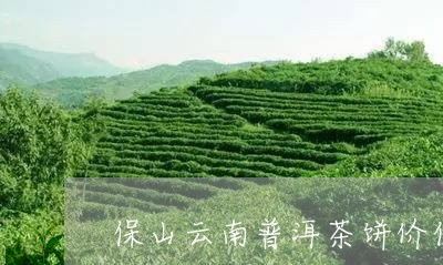 保山云南普洱茶饼价位/2023080246171