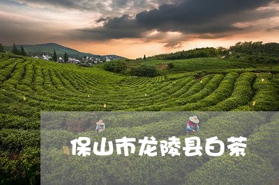 保山市龙陵县白茶/2023061420513