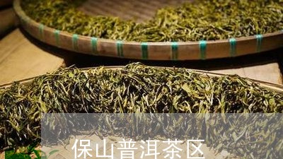 保山普洱茶区/2023042601695