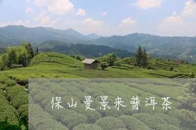 保山曼景来普洱茶/2023120445138