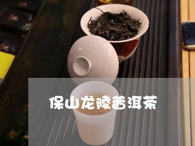 保山龙陵普洱茶/2023112584818