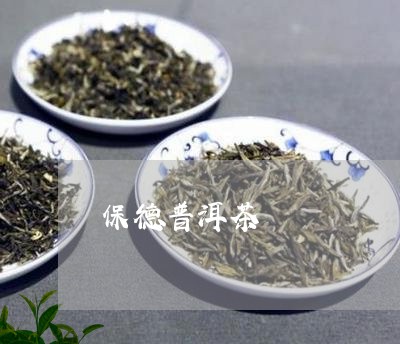 保德普洱茶/2023090595026