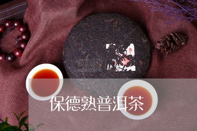 保德熟普洱茶/2023042869755