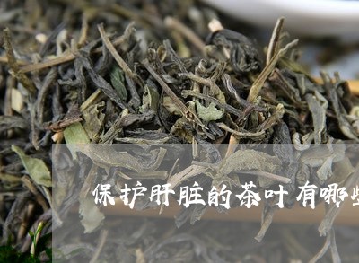 保护肝脏的茶叶有哪些/2023092247493