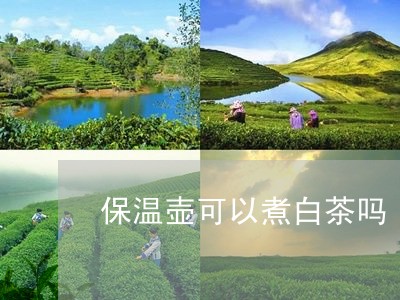 保温壶可以煮白茶吗/2023081218373