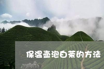 保温壶泡白茶的方法/2023071525159