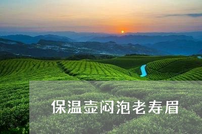 保温壶闷泡老寿眉/2023061420474