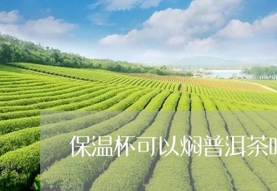 保温杯可以焖普洱茶吗/2023092894047