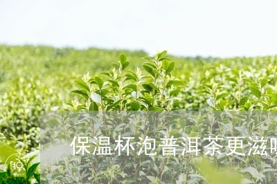 保温杯泡普洱茶更滋味/2023092703048