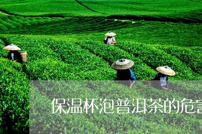 保温杯泡普洱茶的危害/2023092845036