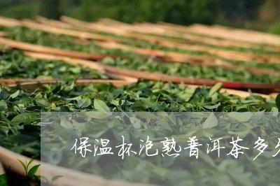 保温杯泡熟普洱茶多久/2023072368596