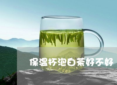 保温杯泡白茶好不好/2023121703060