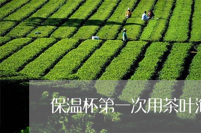 保温杯第一次用茶叶泡/2023092253726