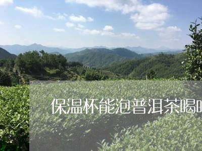 保温杯能泡普洱茶喝吗/2023072130515