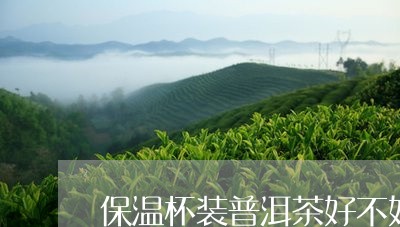 保温杯装普洱茶好不好/2023061500381