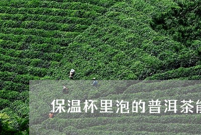 保温杯里泡的普洱茶能放多久/2023052810580