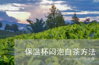 保温杯闷泡白茶方法/2023081282026