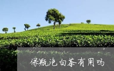 保瓶泡白茶有用吗/2023071505130