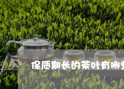 保质期长的茶叶有哪些/2023092291613