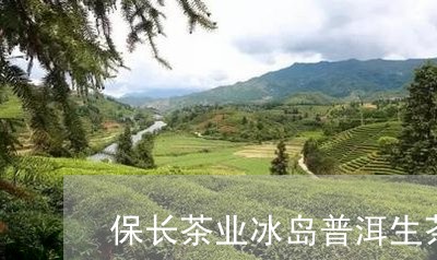 保长茶业冰岛普洱生茶/2023061439381