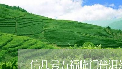 信几号五福临门普洱茶/2023092698480