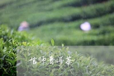 信师普洱茶/2023090683725