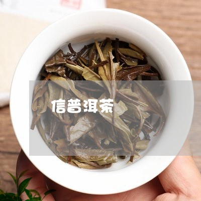 信普洱茶/2023090162160