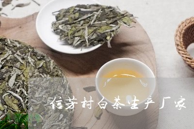 信芳村白茶生产厂家/2023121749404