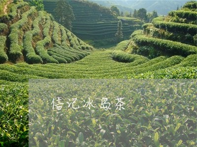 信记冰岛茶/2023041826591