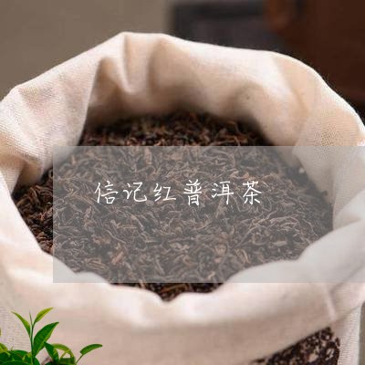 信记红普洱茶/2023042802621