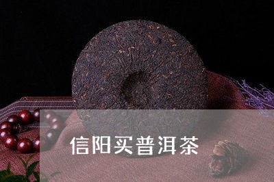 信阳买普洱茶/2023042742988