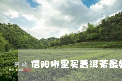 信阳哪里买普洱茶最好/2023080132926