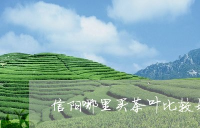 信阳哪里买茶叶比较好/2023061017604